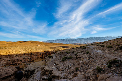 Scenic view of landscape against blue sky