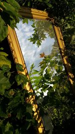 Low angle view of building and trees against sky