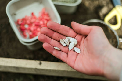 Close-up of hand holding food