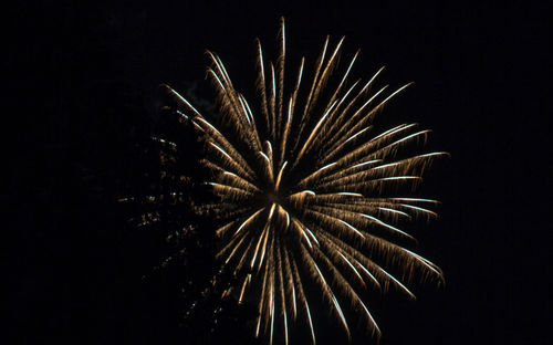 Low angle view of fireworks in sky at night