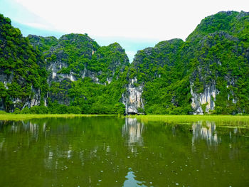 Scenic view of lake by trees against sky