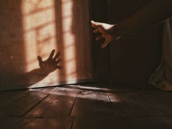 Shadow of woman hand on wall at home