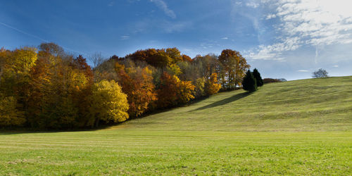 Scenic view of trees against sky during autumn