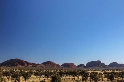 Scenic view of landscape against clear blue sky