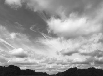 Low angle view of silhouette trees against sky