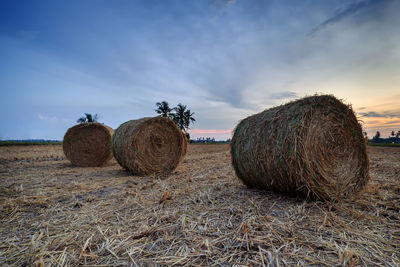 Hay bales in the desert