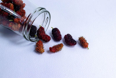 High angle view of fruits on table against white background