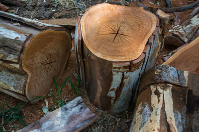 Close-up of wood