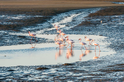 Group of people on sea shore