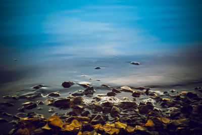 Scenic view of sea against blue sky at sunset