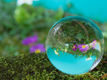 Close-up of crystal ball on glass