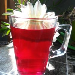 Close-up of tea in cup on table