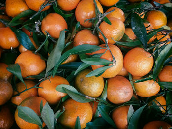 Full frame shot of tangerines and leaves