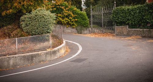 Empty road by trees in city