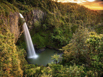 Scenic view of waterfall in forest