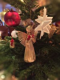 Close-up of christmas tree