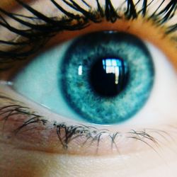 Extreme close up of human eye