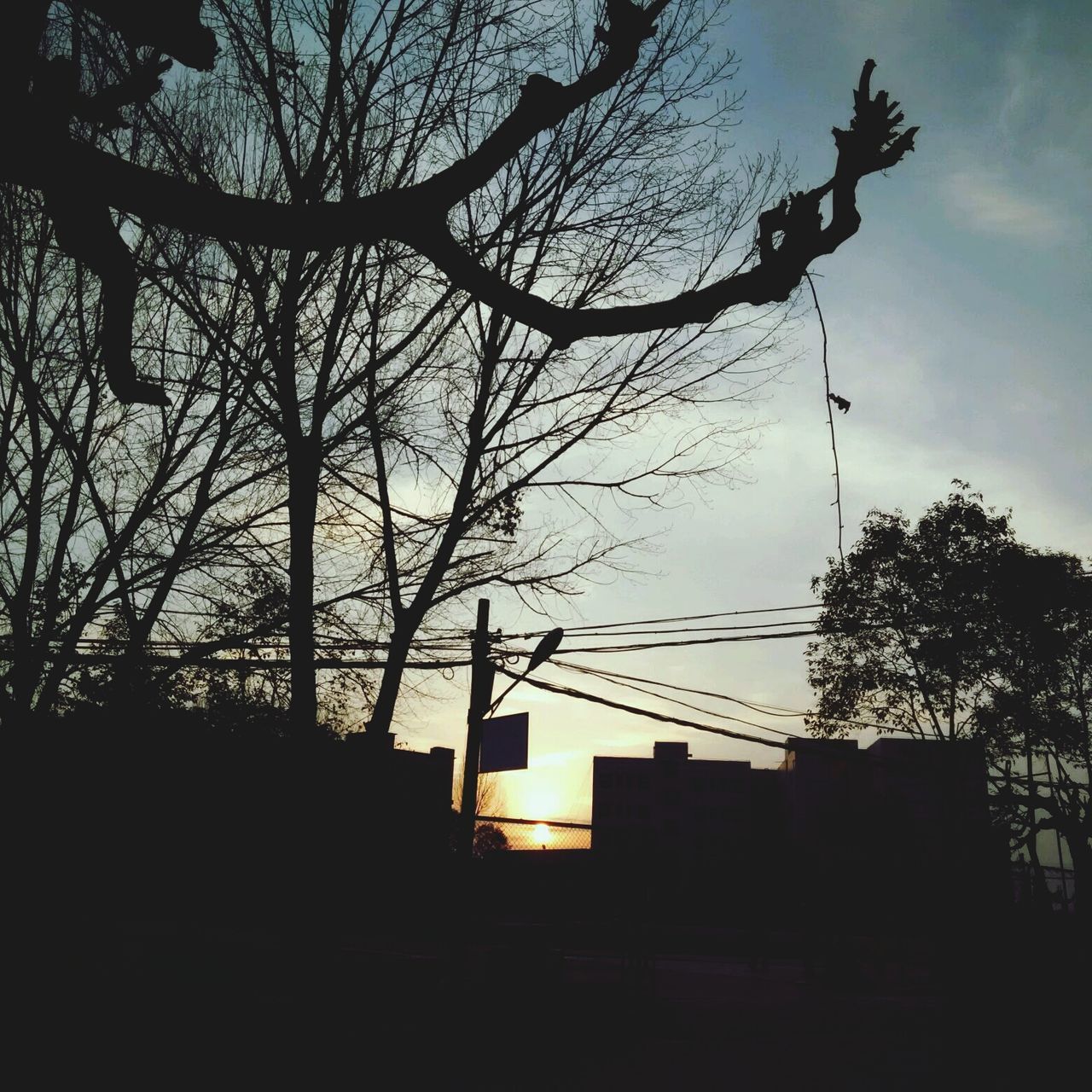 silhouette, building exterior, built structure, architecture, tree, sunset, bare tree, low angle view, sky, branch, city, building, dusk, no people, outdoors, cloud - sky, residential building, nature, sun, sunlight