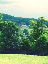 Scenic view of landscape against sky