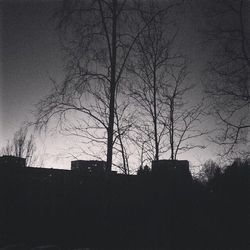 Low angle view of bare trees against sky