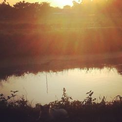 Scenic view of sunset over lake