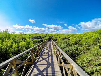 Footbridge amidst trees against sky