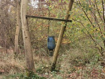 Old telephone booth by trees in forest