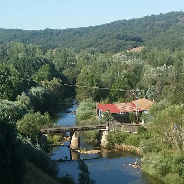 Chema de la Riva