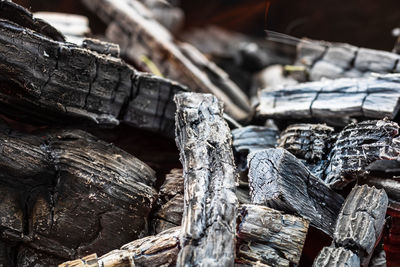 Close-up of old wooden logs