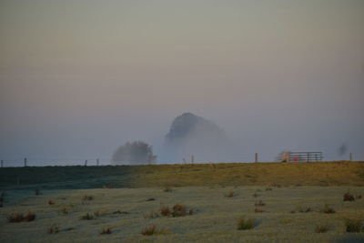 Scenic view of field against sky during foggy weather