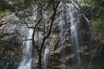 River flowing through forest