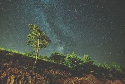 Low angle view of tree against star field