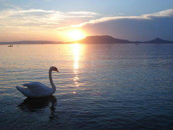 Scenic view of sunset over river