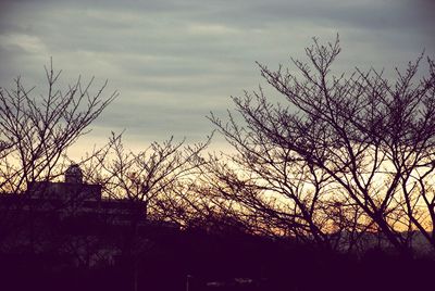 Silhouette trees against sky at sunset