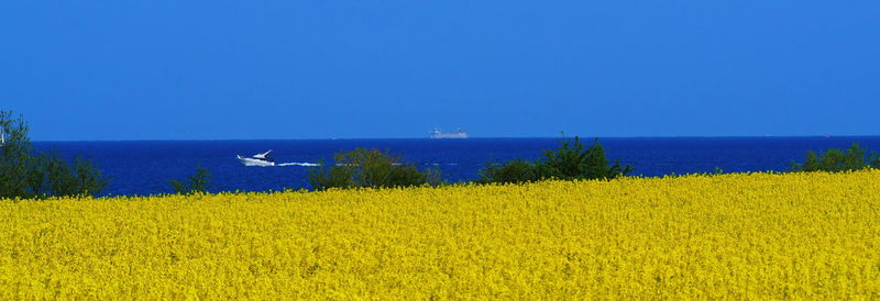 Scenic view of sea against clear blue sky