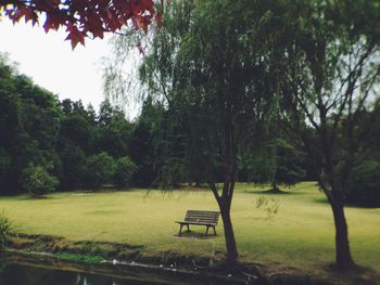 Empty bench in park