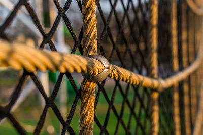 Close-up of rope on chainlink fence