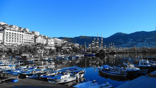 Boats in harbor with buildings in background