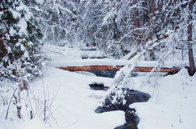 Snow covered landscape