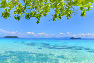 Scenic view of sea against blue sky