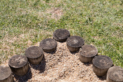 High angle view of tree stumps on field