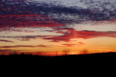 Silhouette trees on landscape against orange sky