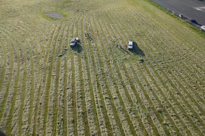 Two cars on grassy field