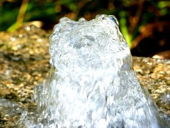 Close-up of water on rock