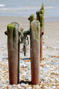 Close-up of wooden post on beach