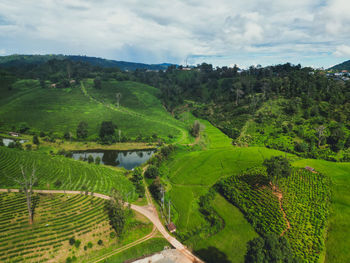 landscape