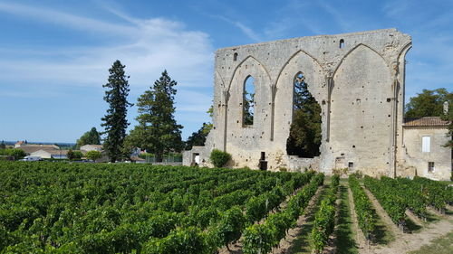 Panoramic view of castle on field against sky