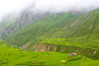 High angle view of green landscape