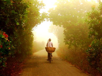 Full length of man cycling on road amidst trees