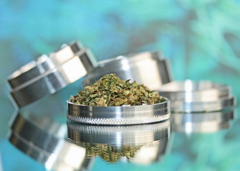 Close-up of cannabis in container